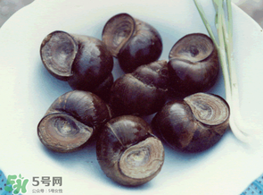 田螺不能和什么一起吃？田螺和什么不能一起吃？