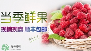 刺泡是覆盆子嗎？刺泡和覆盆子的區(qū)別