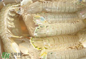 蝦爬子綠色怎么回事？蝦爬子變黑還能吃嗎？