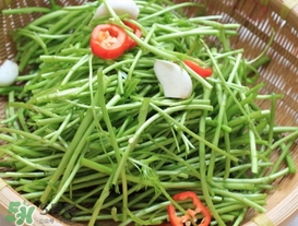 泥蒿怎么做好吃？泥蒿做法