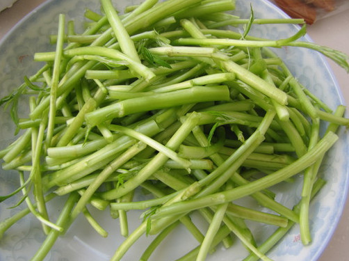 蘆蒿是發(fā)物嗎？蘆蒿是不是發(fā)物