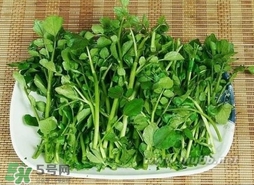 哺乳期能吃西洋菜嗎？哺乳期可以吃西洋菜嗎