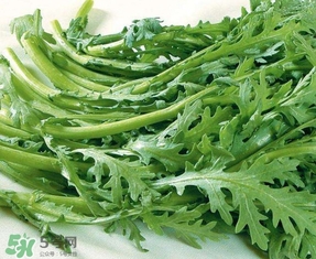 蘆蒿與茼蒿有什么區(qū)別？蘆蒿和茼蒿的區(qū)別