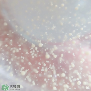 資生堂悅薇和怡麗絲爾哪個好？資生堂悅薇和怡麗絲爾對比