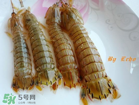 蝦爬子能放多久？蝦爬子怎么保存時(shí)間長？