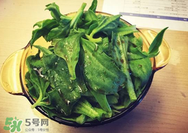 吃冰菜有什么好處？冰菜吃了有什么好處？