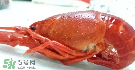 蝦子哪些部位不能吃？蝦子哪些地方不能吃