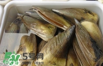 青口貝如何清洗？青口貝怎么處理