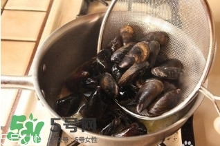 青口貝如何清洗？青口貝怎么處理