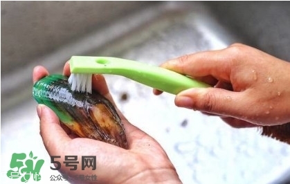 青口貝如何清洗？青口貝怎么處理
