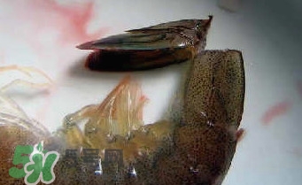 油燜大蝦怎么洗？油燜大蝦怎么清洗