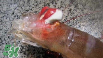 油燜大蝦怎么洗？油燜大蝦怎么清洗