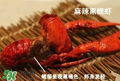 蝦子怎么吃？蝦子的吃法