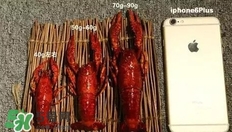 蝦子怎么吃？蝦子的吃法