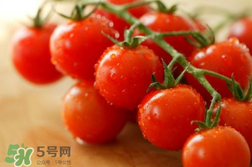 小番茄怎么洗？小番茄怎么清洗