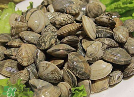 蜆子不能和什么一起吃？吃蜆子不能吃什么？
