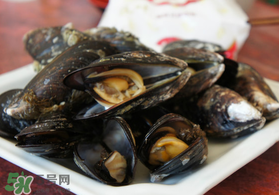 淡菜什么時(shí)候最肥？淡菜什么時(shí)候吃最好？