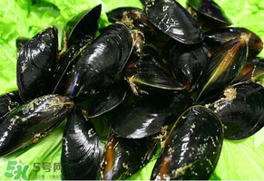 哪些人不適合吃淡菜？淡菜什么人不能吃？