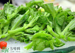 冰菜孕婦能吃嗎？孕婦能不能吃冰菜？