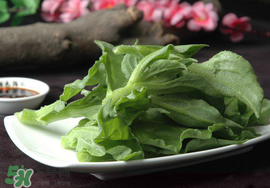 冰菜可以生吃嗎？冰菜能生吃嗎？