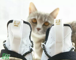 nike lebron 14怎么樣？耐克lebron 14測評