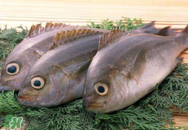 蠶豆和魚能一起吃嗎？蠶豆和魚吃相克嗎？