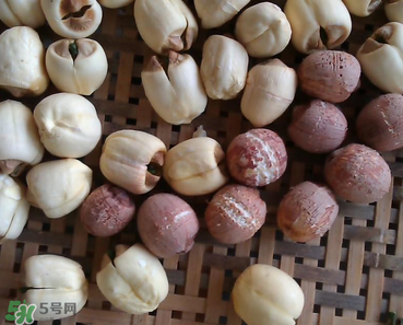 芡實不能和什么一起吃？芡實不能與什么同食？