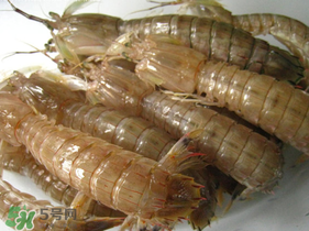 瀨尿蝦是皮皮蝦嗎？瀨尿蝦和皮皮蝦的區(qū)別
