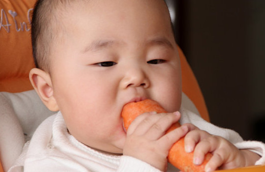 胡蘿卜與什么不能同食？胡蘿卜不能和什么一起吃