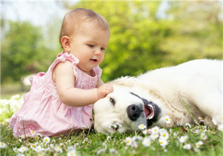 孩子不愿意分享是自私嗎？怎么幫孩子樹(shù)立分享意識(shí)？