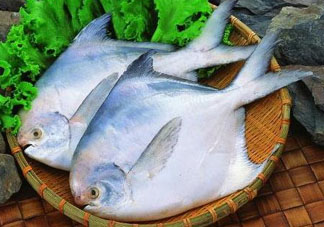 蠶豆和魚能一起吃嗎？蠶豆和魚吃相克嗎？