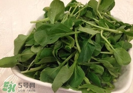 雞毛菜怎么做？雞毛菜的做法