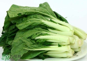雞毛菜怎么做？雞毛菜的做法