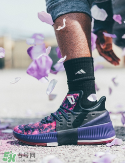 adidas dame3新配色多少錢？阿迪達(dá)斯利拉德三代花城玫瑰專柜價(jià)格