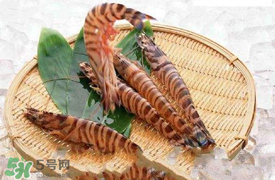 蝦爬子怎么扒皮？蝦爬子怎么剝殼？