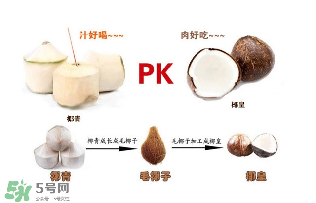 椰子怎么打開？椰子殼怎樣打開