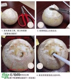 椰子怎么打開？椰子殼怎樣打開