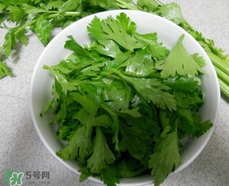 芹菜葉能吃嗎？芹菜葉可以吃嗎