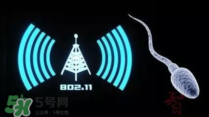 wifi殺精嗎？wifi殺精是真的嗎？