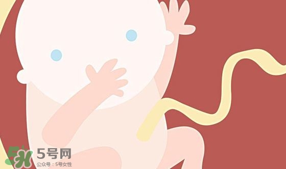胎兒發(fā)育關(guān)鍵時(shí)期是什么時(shí)候？胎兒發(fā)育黃金期