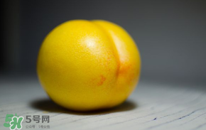黃金油桃多少錢一斤？黃金油桃什么時候成熟？