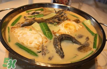 泥鰍是魚嗎？泥鰍是海鮮嗎