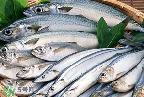 2017鲅魚多少錢一斤？鲅魚多少錢一斤2017？