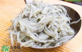 銀魚是面條魚嗎？面條魚和銀魚的區(qū)別