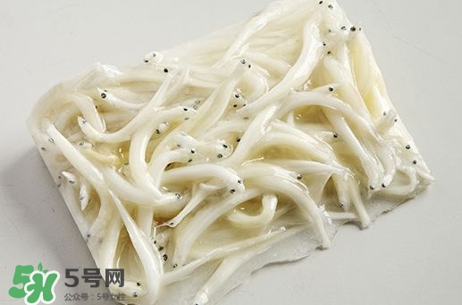 面條魚是什么魚？面條魚是海水魚嗎