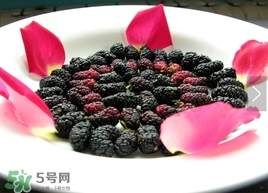 覆盆子是桑葚嗎？覆盆子和桑葚的區(qū)別