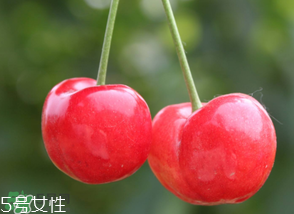 櫻桃籽有毒嗎？櫻桃籽能吃嗎？