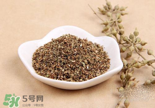 吃中藥可以吃魚(yú)？吃中藥吃魚(yú)會(huì)怎么樣？