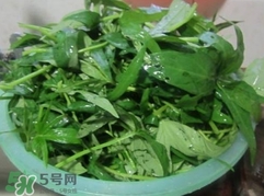番薯葉怎么種？怎樣種番薯葉