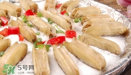 蟶子死了是什么樣子？死蟶子是什么樣子